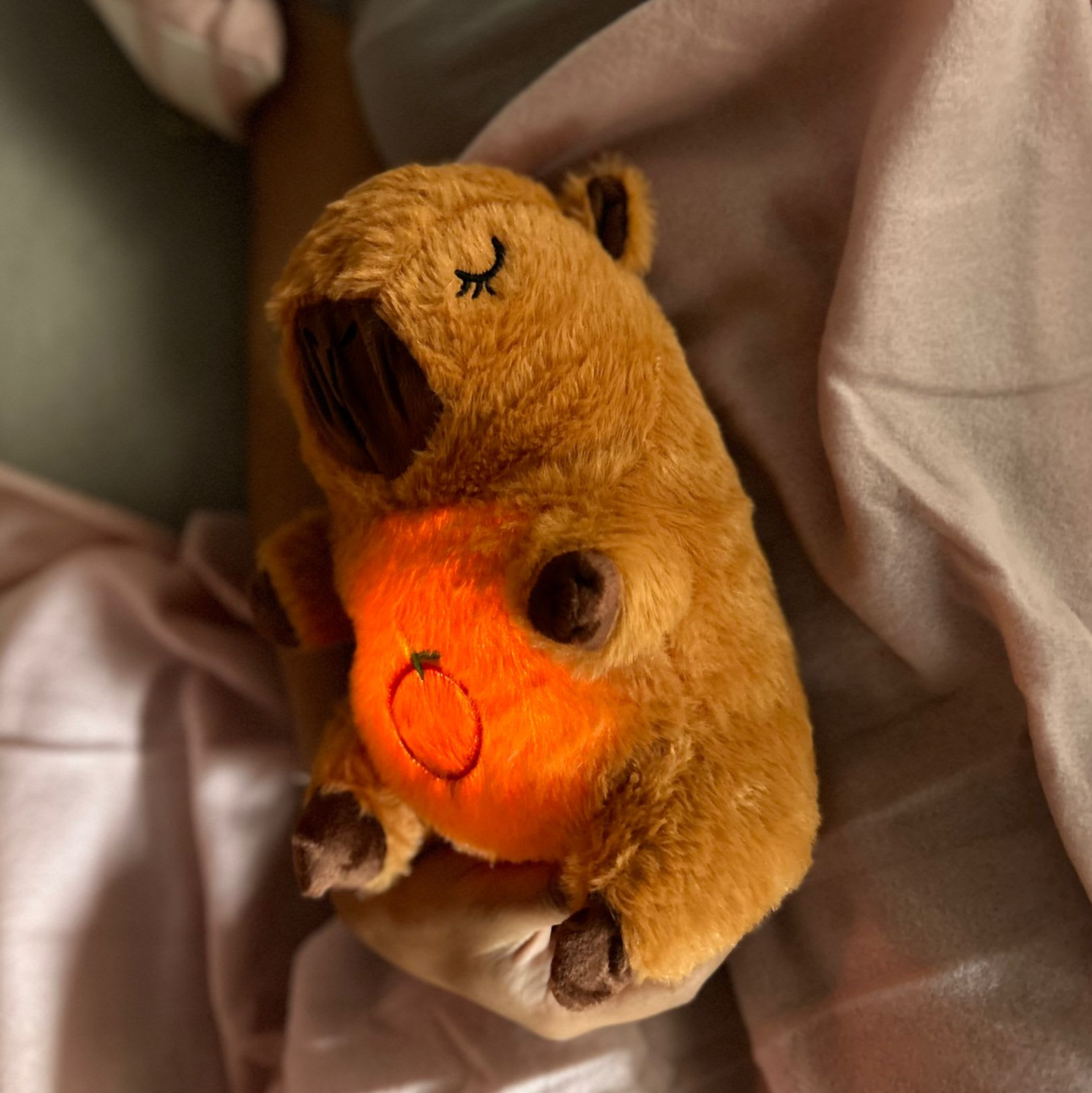 Capibara que Respira